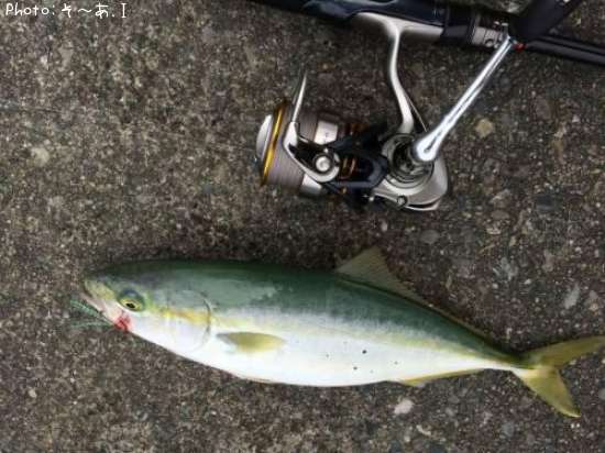 ���ʥ��ʥ��å���