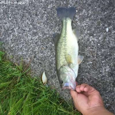 �֥�å��Х�