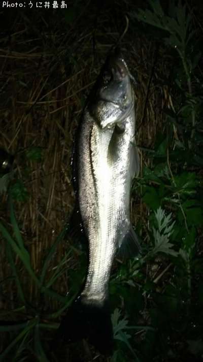 �����Х�