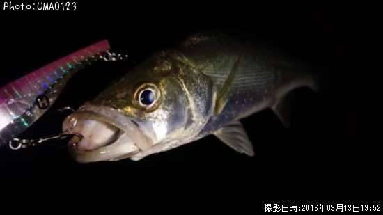 �����Х�