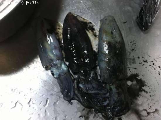 �����ꥤ��