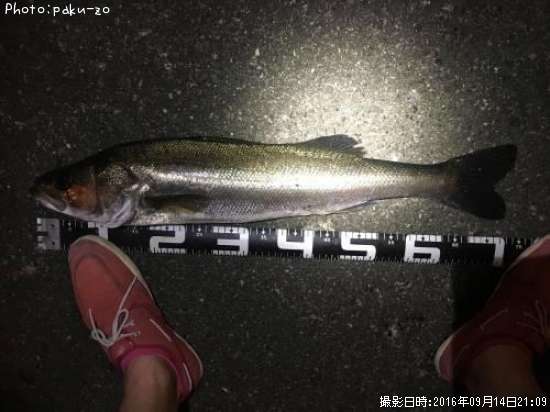 �����Х�