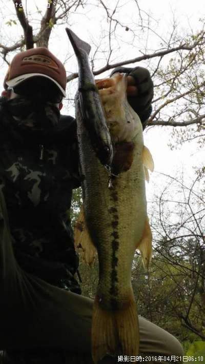 �֥�å��Х�