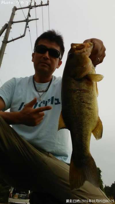 �֥�å��Х�