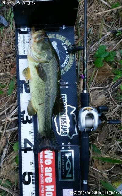 �֥�å��Х�