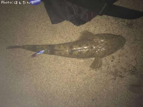 �ޥ���
