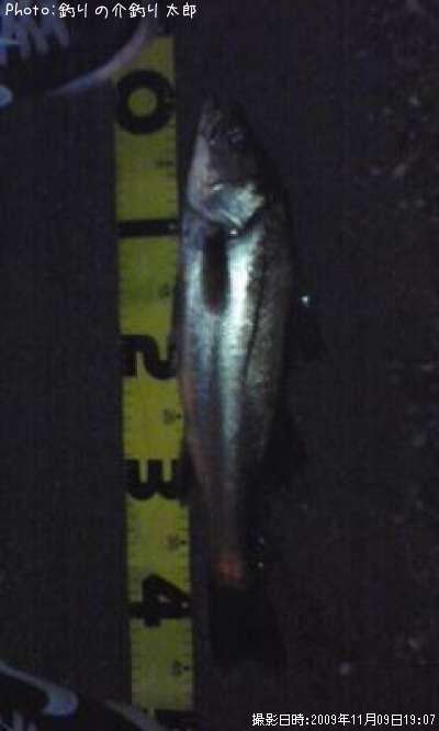 �����Х�