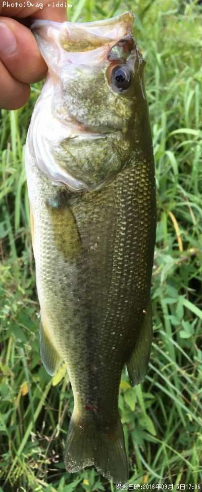 �֥�å��Х�