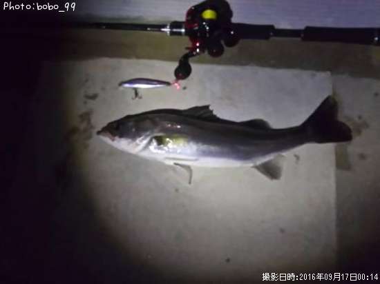 �����Х�