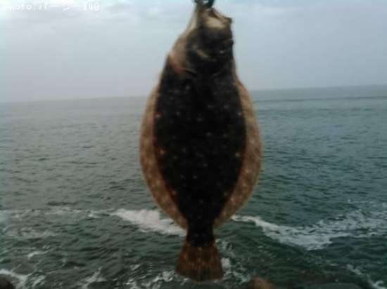 �ҥ��ʥ�����