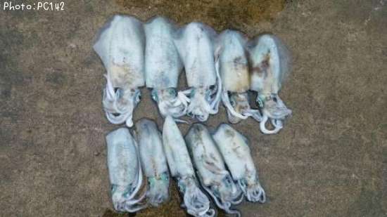 �����ꥤ��