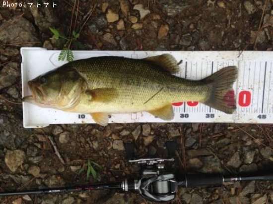 �֥�å��Х�