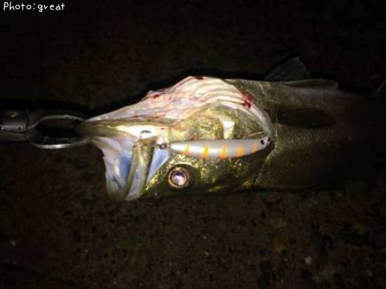 �����Х�