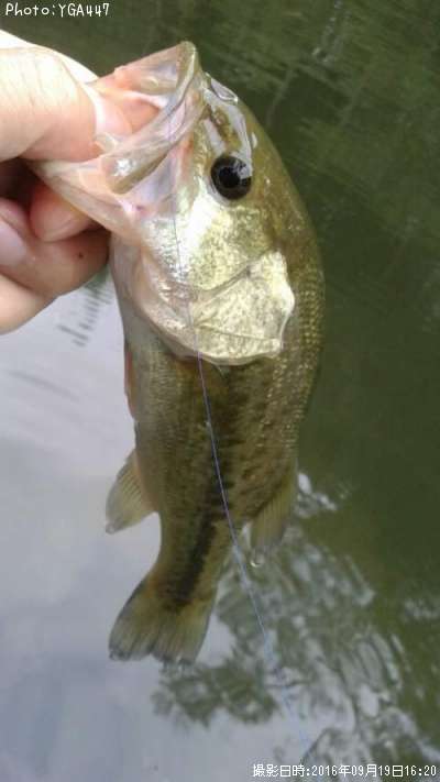 �֥�å��Х�