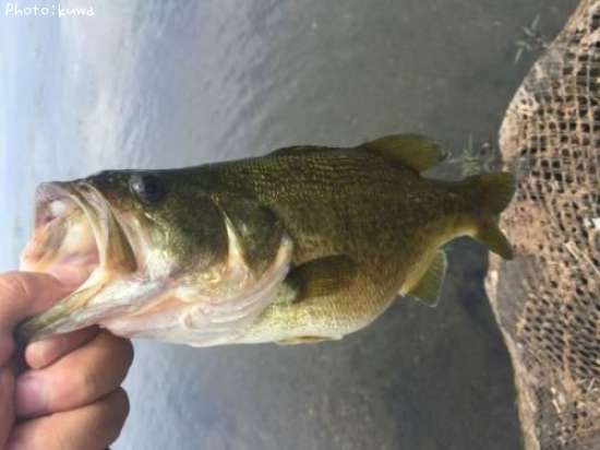 �֥�å��Х�