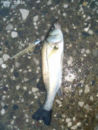 �����Х�