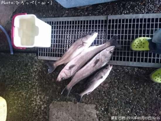 �����Х�