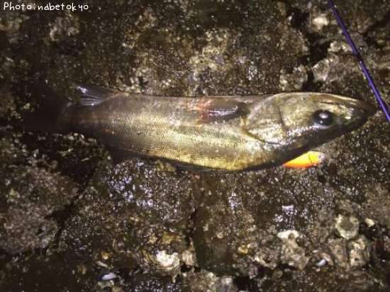 �����Х�