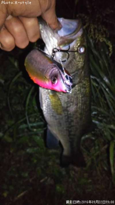 �֥�å��Х�