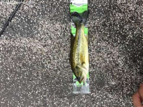 �֥�å��Х�