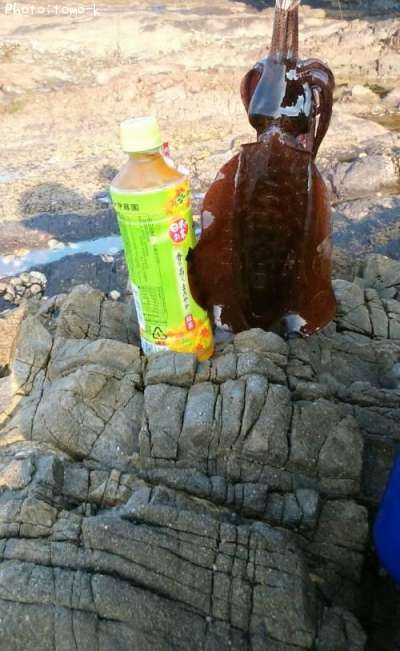 �����ꥤ��