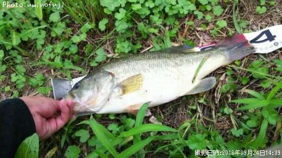 �֥�å��Х�