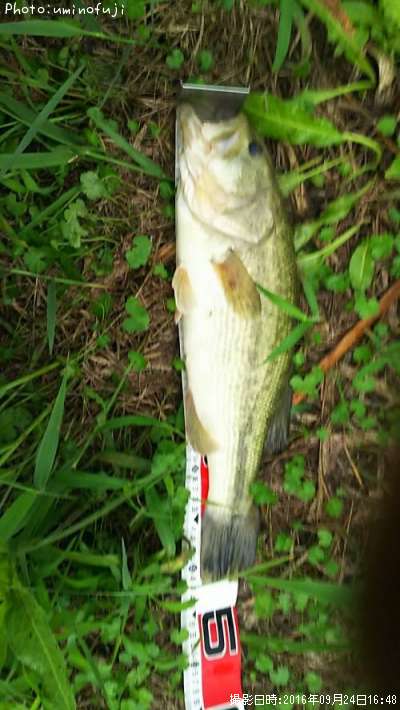 �֥�å��Х�