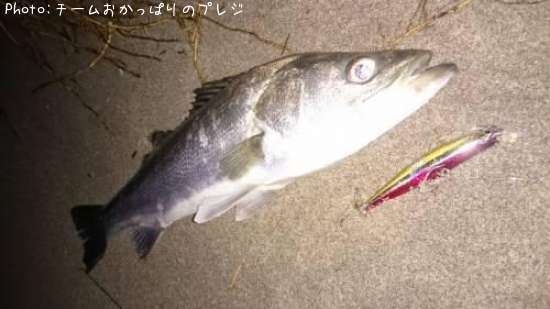 �����Х�