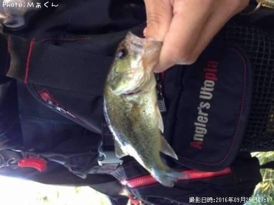 �֥�å��Х�