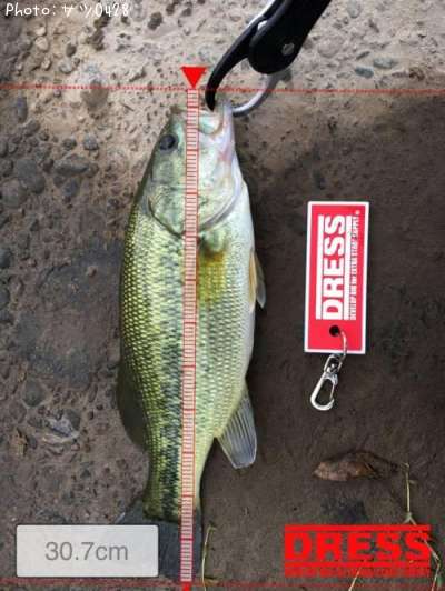 �֥�å��Х�