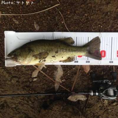 �֥�å��Х�