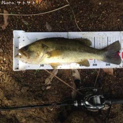 �֥�å��Х�