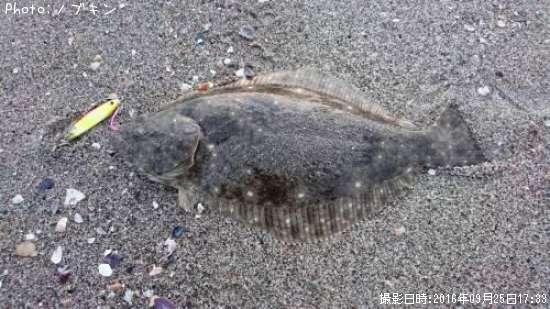 �ҥ��ʥ�����