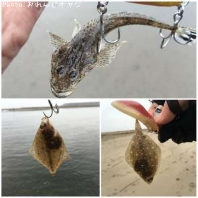 �ޥ����ȥ��쥤���յ�