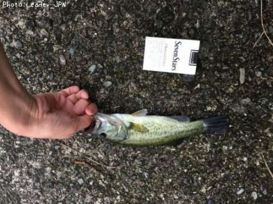 �֥�å��Х�