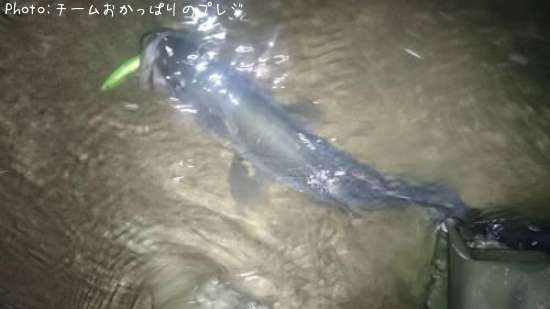 �����Х�