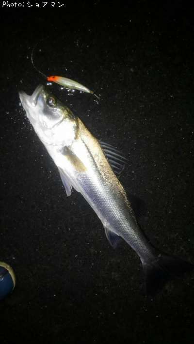 �����Х�