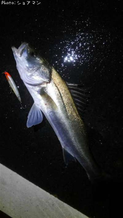 �����Х�