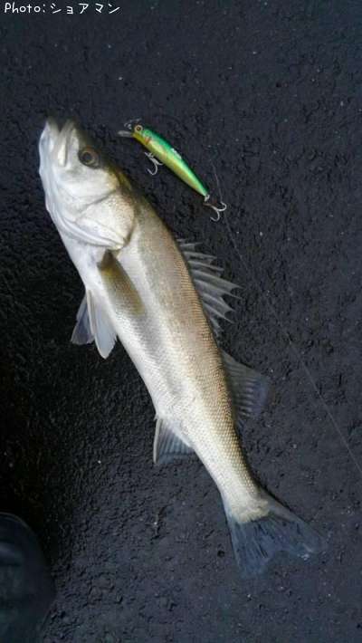 �����Х�