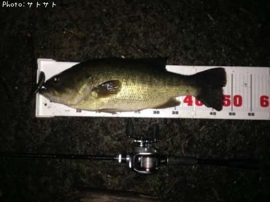 �֥�å��Х�