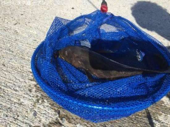 �����ʥ�