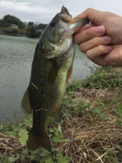 �֥�å��Х�