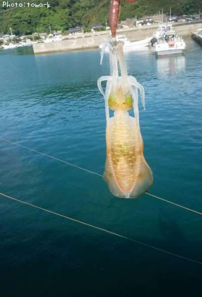 �����ꥤ��