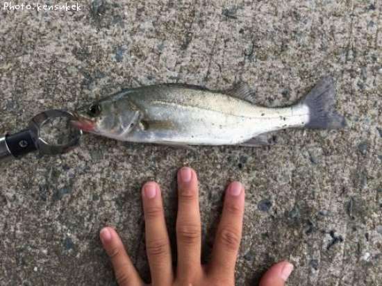 �����Х�