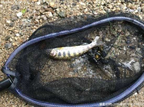 ���ޥ���