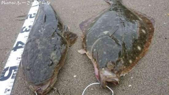 �ޥ��������쥤