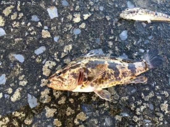 �٥å�������