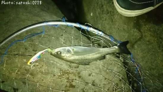 �����Х�