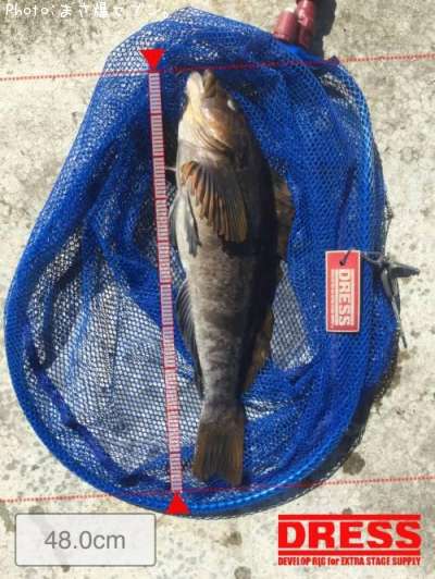 �����ʥ�