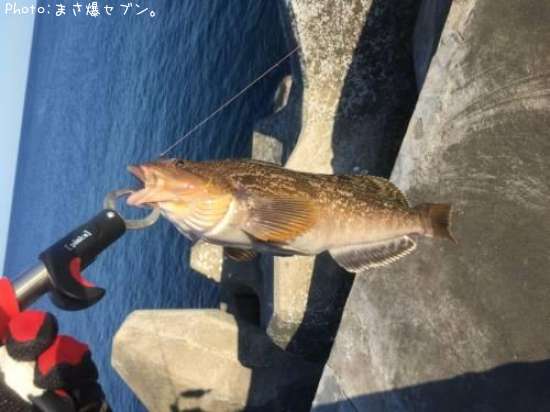 �����ʥ�